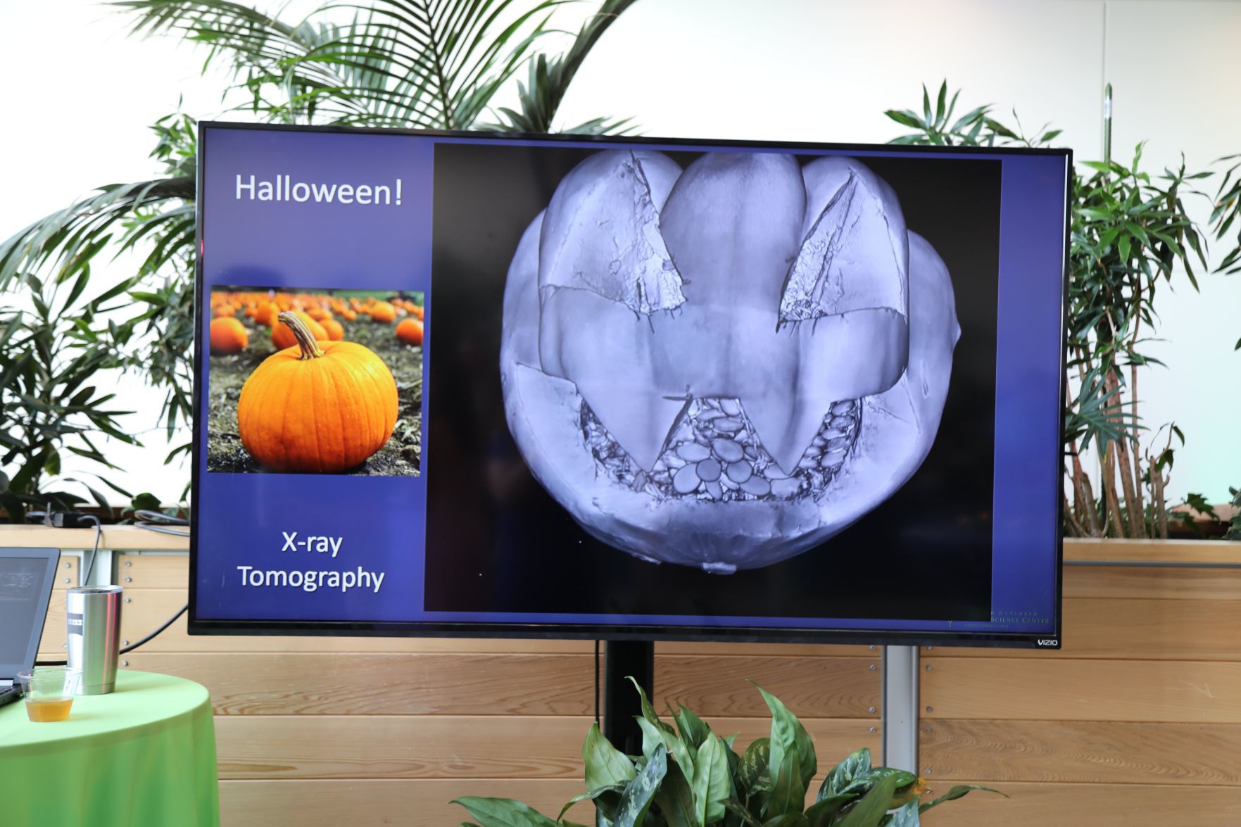 2019-Party-with-the-Plants-013.JPG